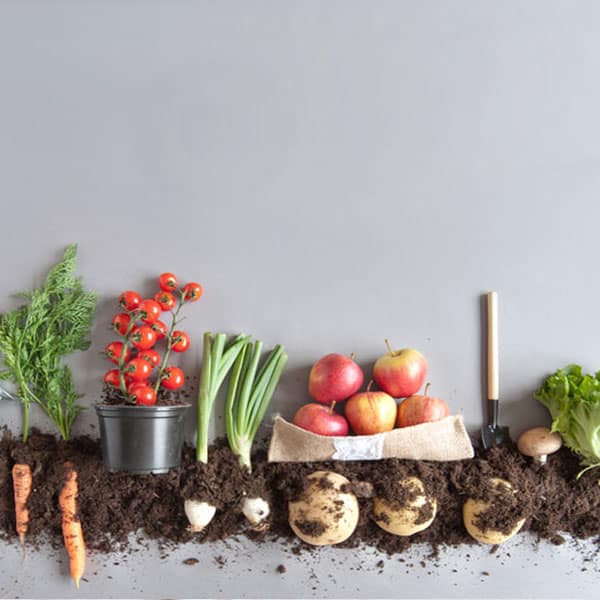 معیارهای تهیه محصولات ارگانیک و فواید آن
